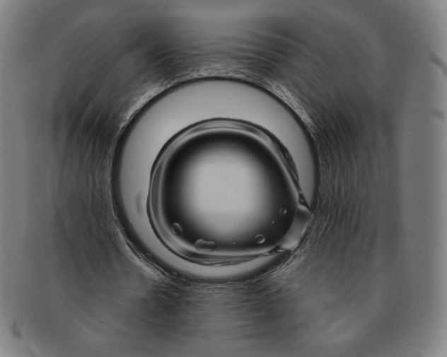 X0000090960530200708301205