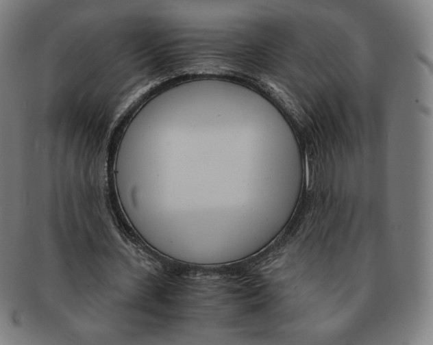 X0000090960531200708301205