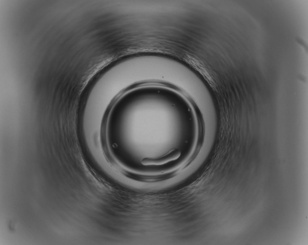 X0000090960534200708301205