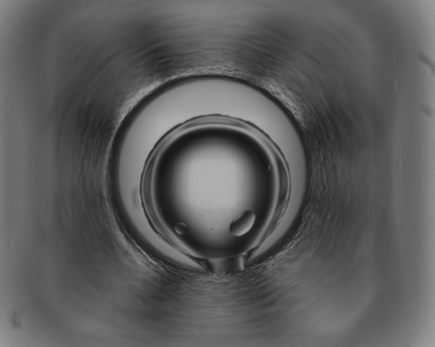 X0000090960536200708301205