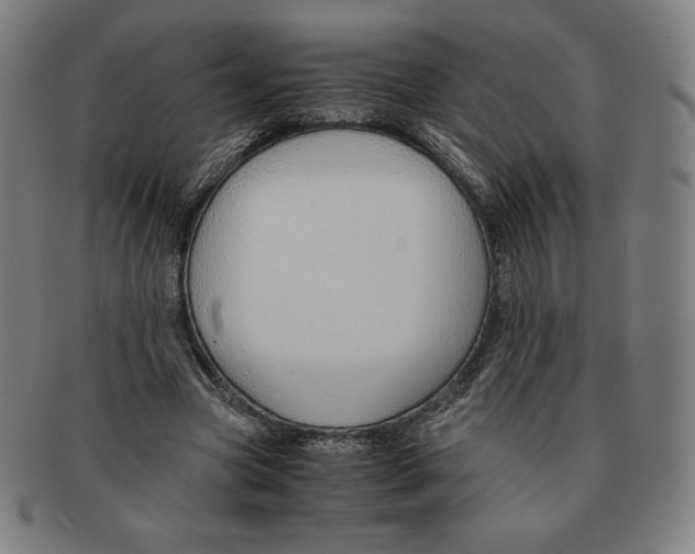 X0000090960537200708301205