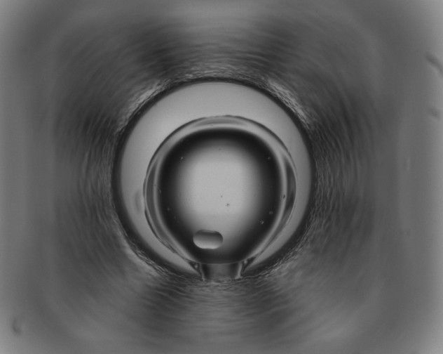 X0000090960538200708301205