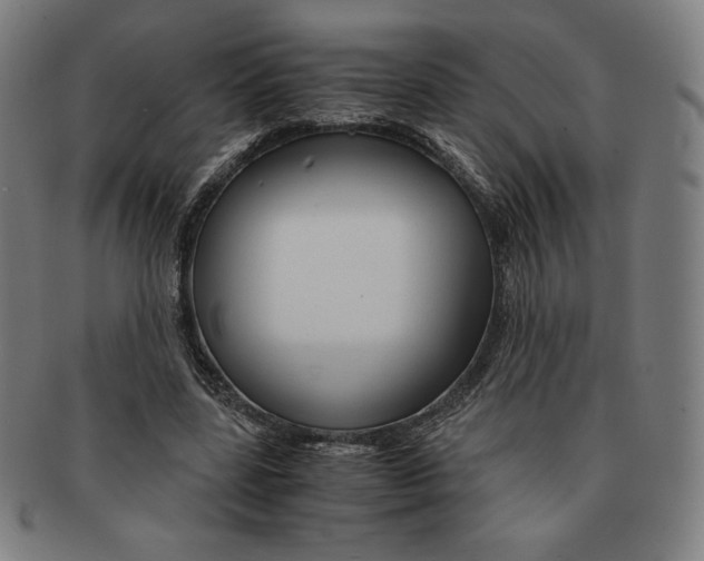 X0000090960539200708301205