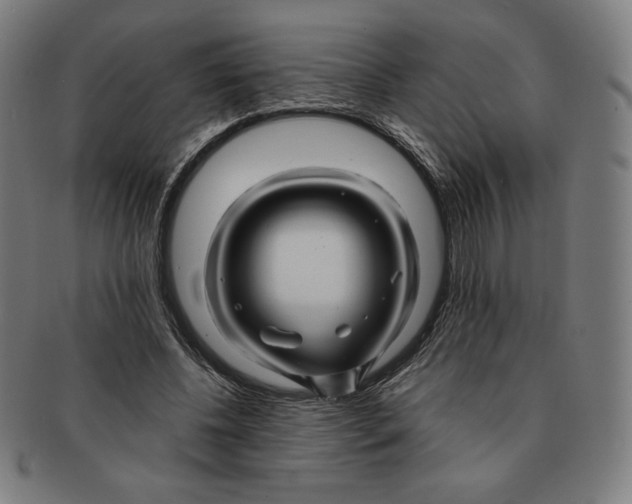 X0000090960540200708301205