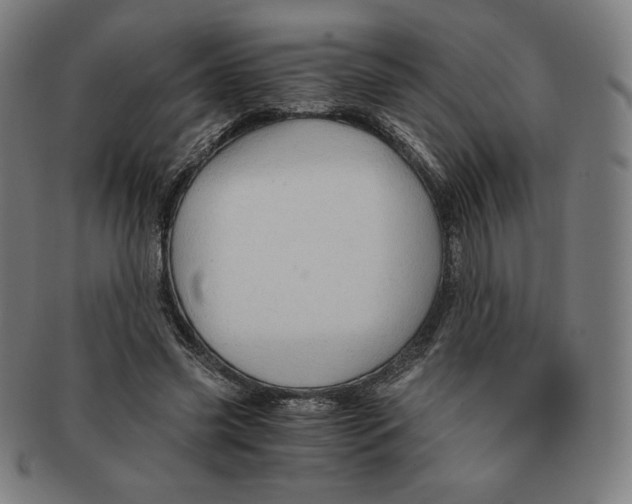 X0000090960541200708301205