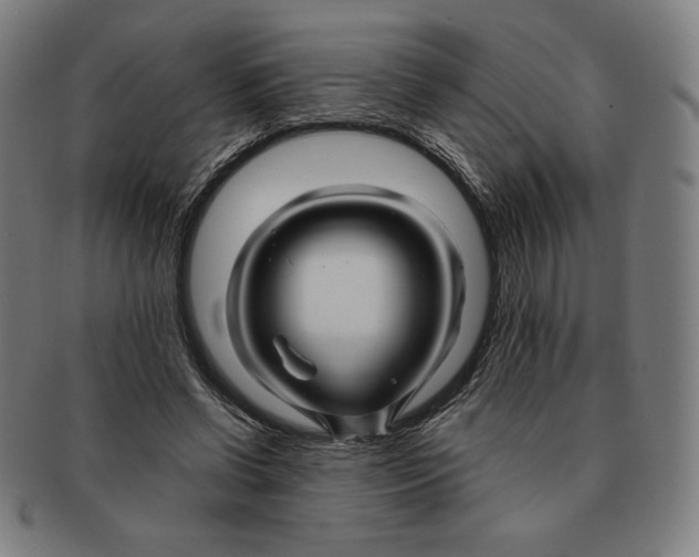 X0000090960542200708301205