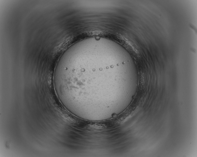 X0000090960545200708301205