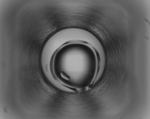 X0000090960546200708301205