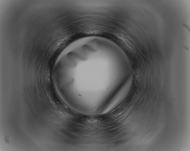 X0000090960547200708301205