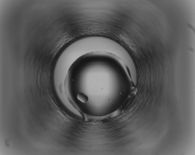 X0000090960548200708301205