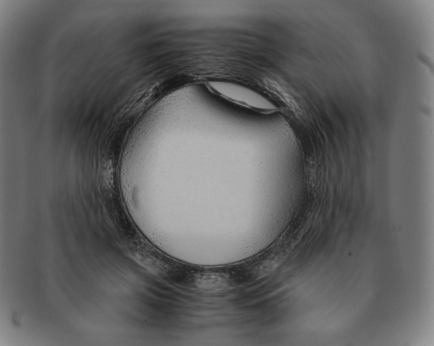 X0000090960549200708301205