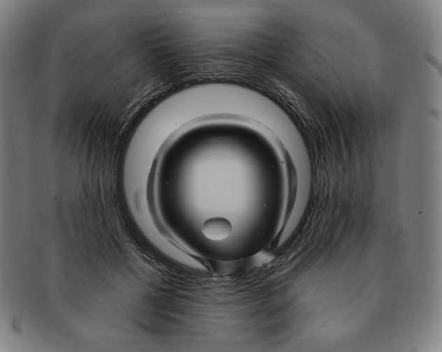 X0000090960552200708301205