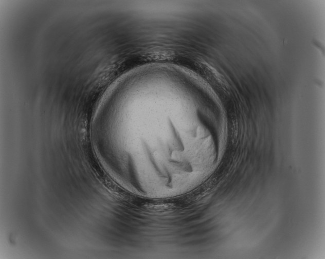 X0000090960553200708301205