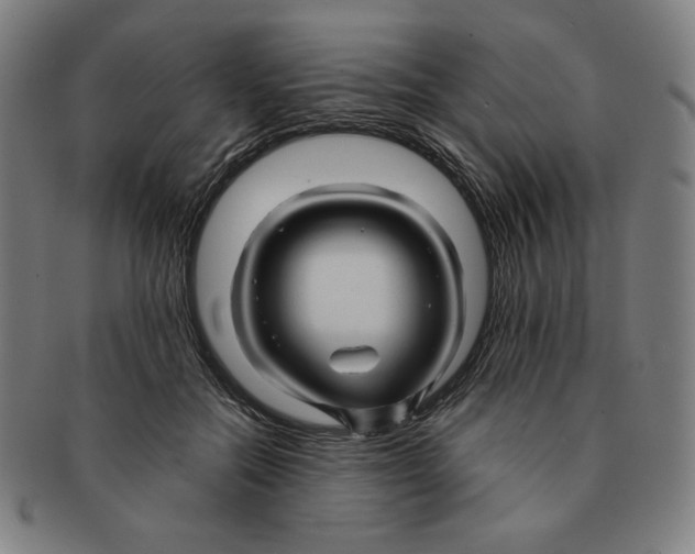 X0000090960554200708301205