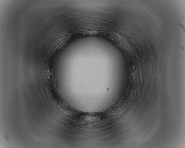 X0000090960555200708301205