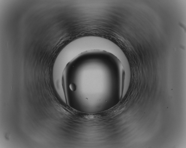 X0000090960558200708301205