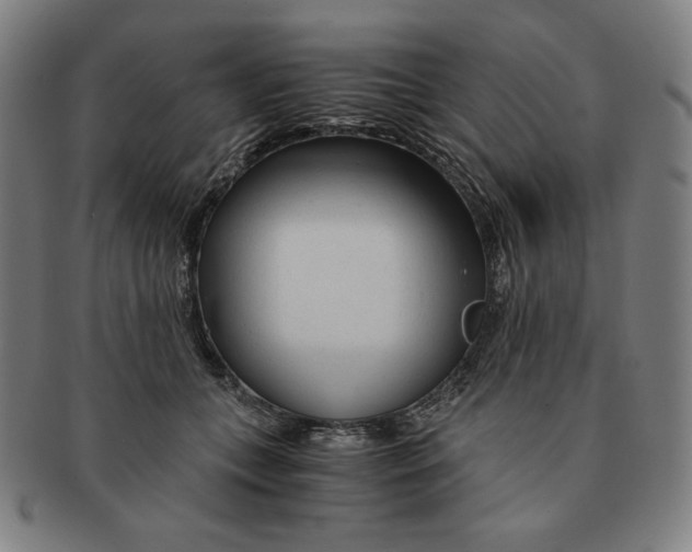 X0000090960559200708301205