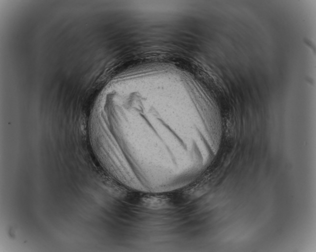 X0000090960561200708301205