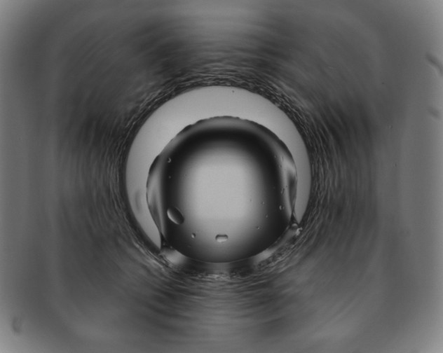 X0000090960562200708301205