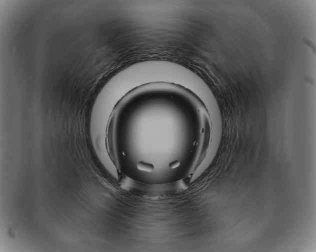 X0000090960564200708301205