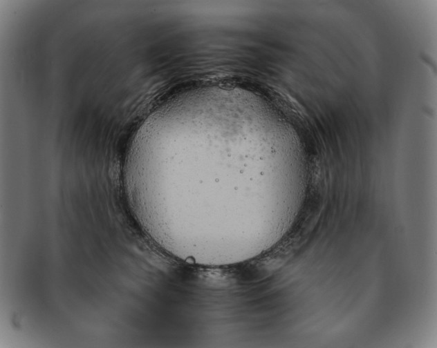 X0000090960565200708301205