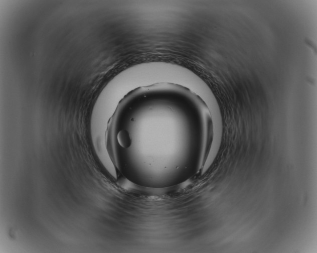 X0000090960566200708301205