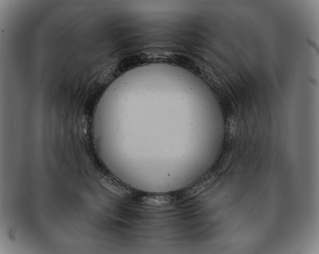 X0000090960567200708301205