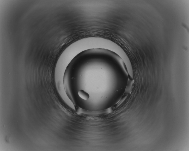 X0000090960568200708301205