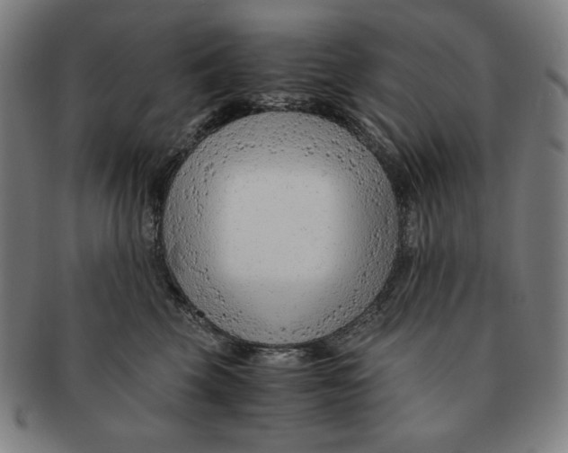 X0000090960569200708301205