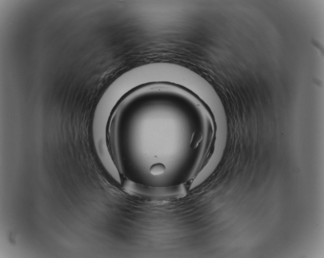 X0000090960570200708301205