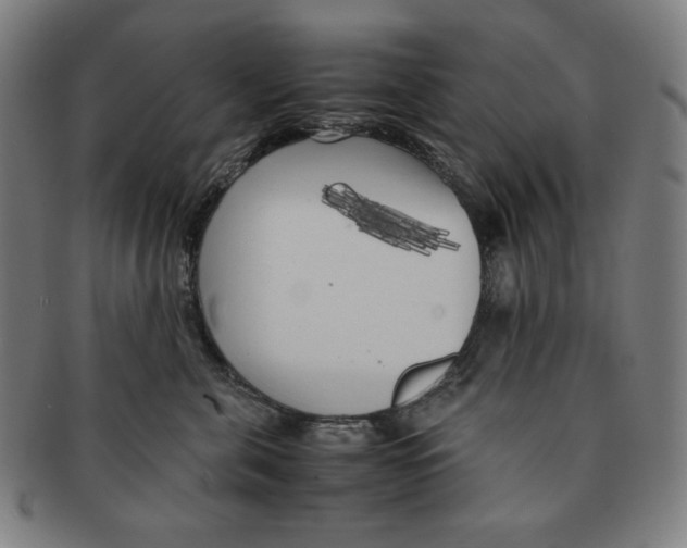 X0000090960571200708301205