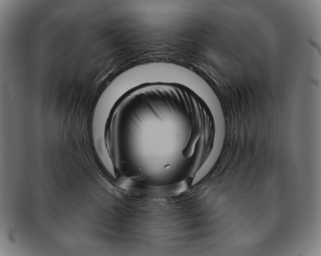 X0000090960572200708301206