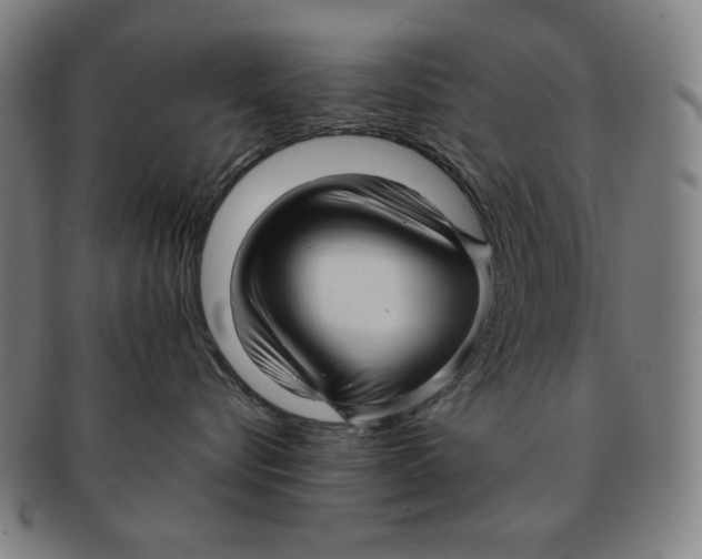 X0000090960576200708301206