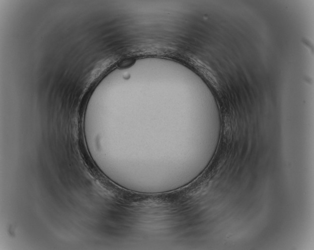 X0000090960578200708301205