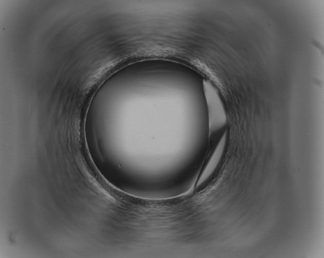 X0000090960581200708301205