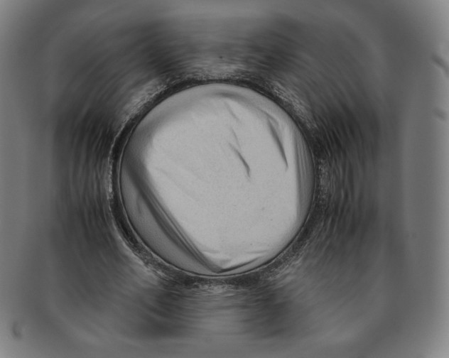 X0000090960582200708301205