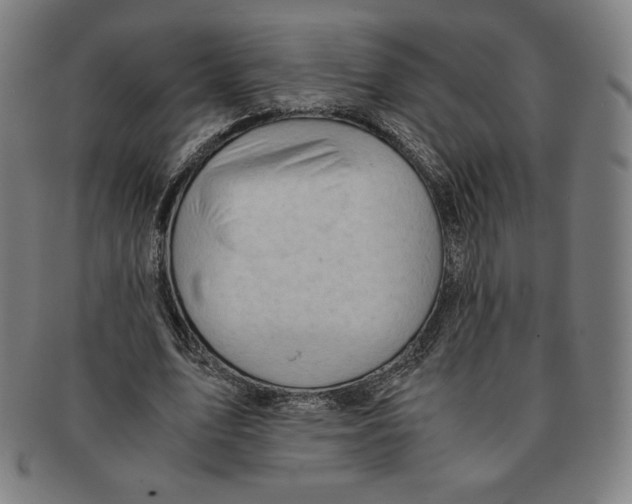 X0000090960583200708301205