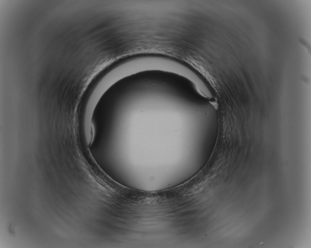 X0000090960584200708301205