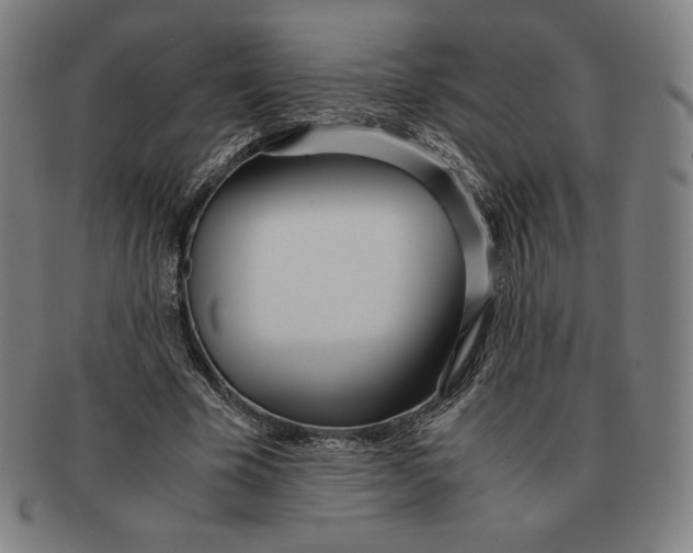 X0000090960585200708301205