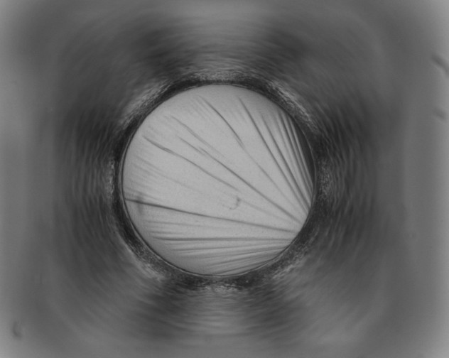 X0000090960586200708301205