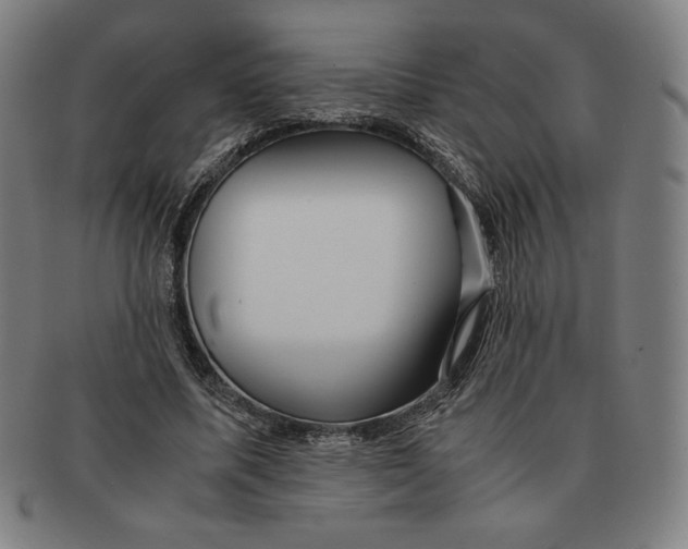 X0000090960587200708301205