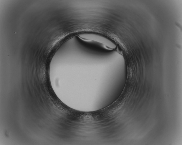 X0000090960588200708301205