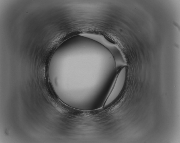 X0000090960589200708301205