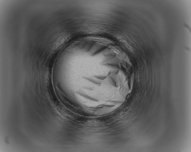 X0000090960591200708301205