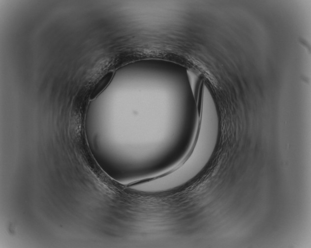 X0000090960593200708301205