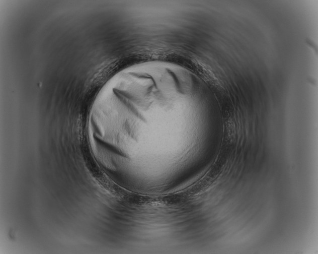 X0000090960594200708301204