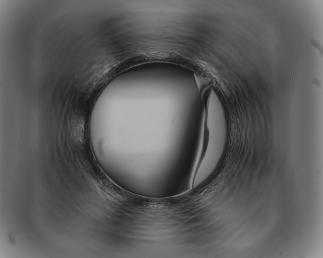 X0000090960596200708301204