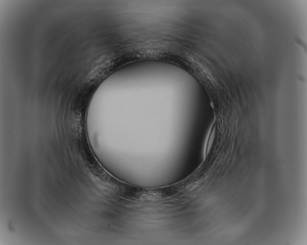 X0000090960599200708301204