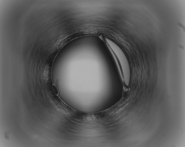 X0000090960600200708301204