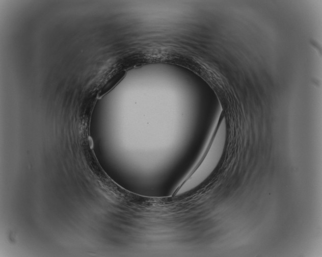 X0000090960601200708301204